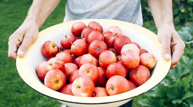 Zaprzyjaźnij się z jabłkami! To pyszne i zdrowe dary jesieni. Pomagają schudnąć i wzmocnić odporność. W 83% składają się z wody.