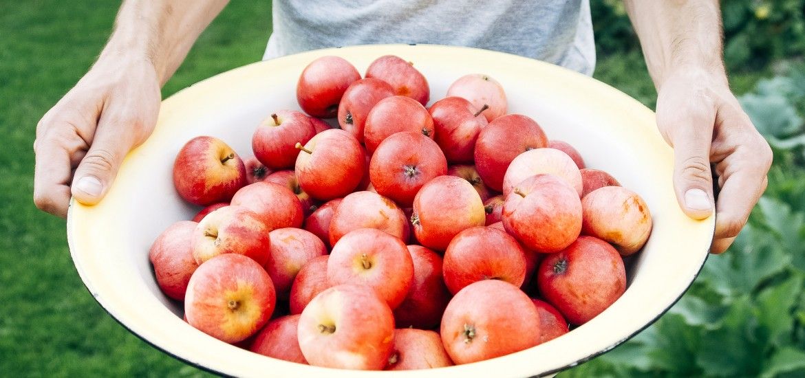 Zaprzyjaźnij się z jabłkami! To pyszne i zdrowe dary jesieni. Pomagają schudnąć i wzmocnić odporność. W 83% składają się z wody.